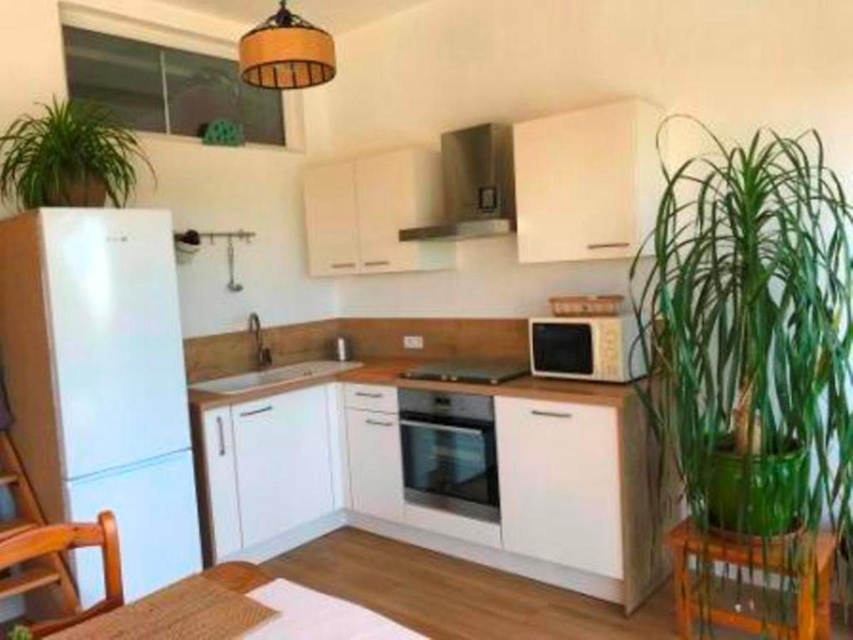 Villa les Alizés Le Le Rayol-Canadel-sur-Mer Extérieur photo