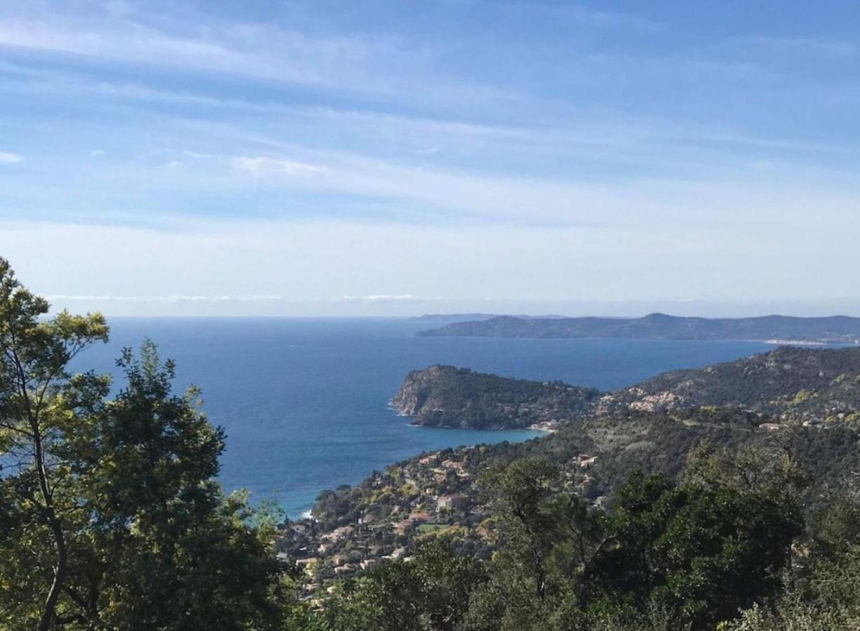 Villa les Alizés Le Le Rayol-Canadel-sur-Mer Extérieur photo