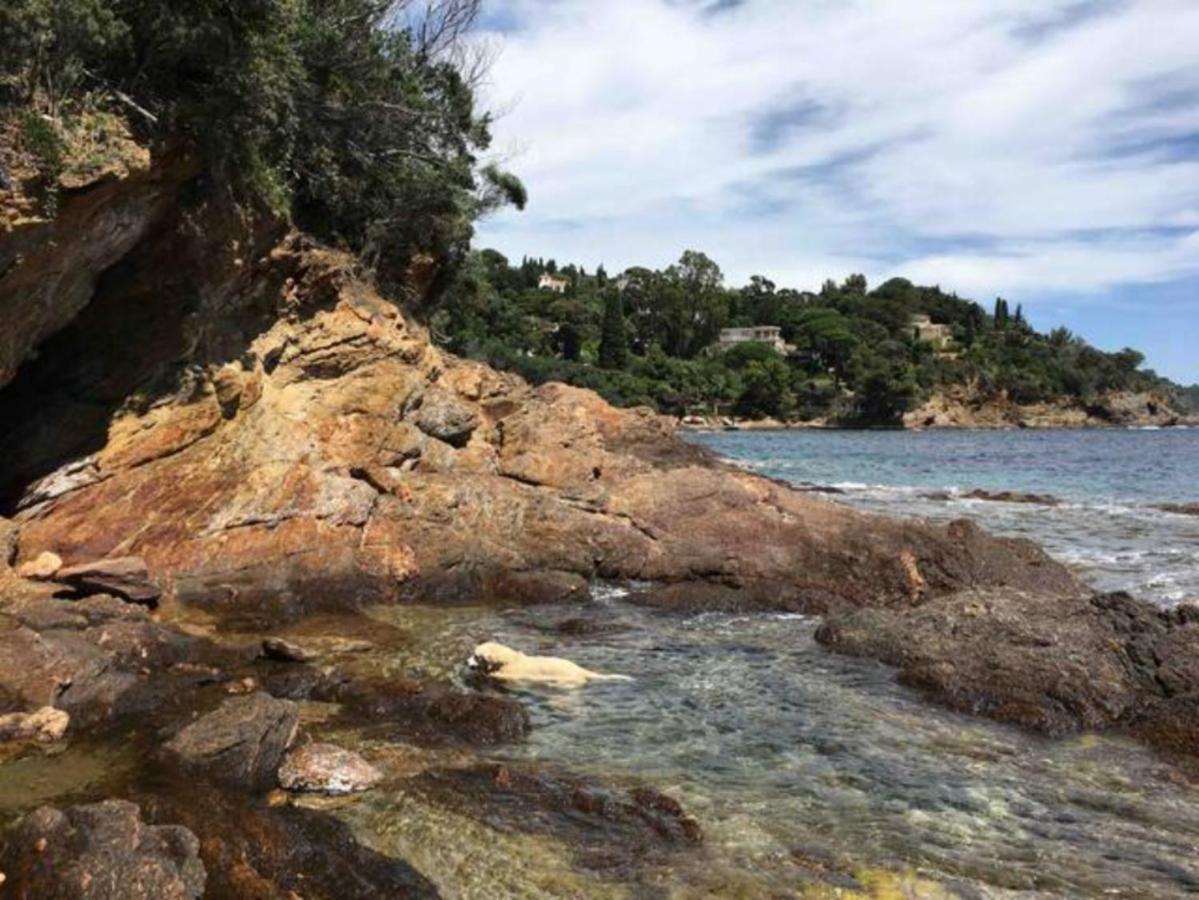 Villa les Alizés Le Le Rayol-Canadel-sur-Mer Extérieur photo