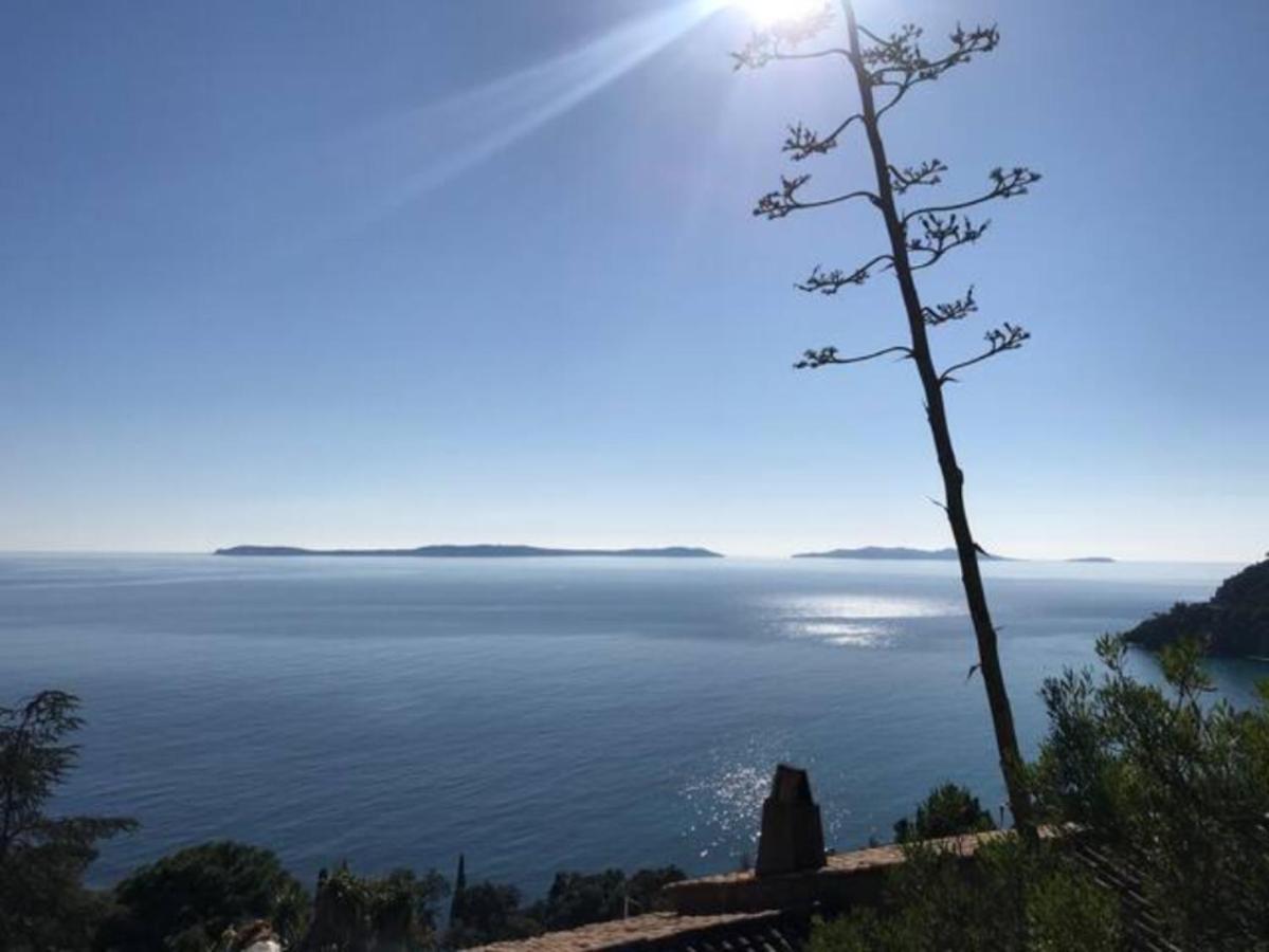 Villa les Alizés Le Le Rayol-Canadel-sur-Mer Extérieur photo