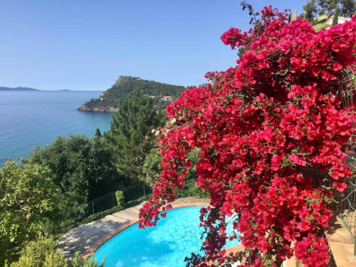 Villa les Alizés Le Le Rayol-Canadel-sur-Mer Extérieur photo