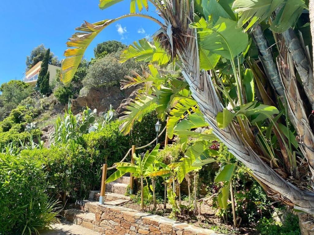 Villa les Alizés Le Le Rayol-Canadel-sur-Mer Extérieur photo