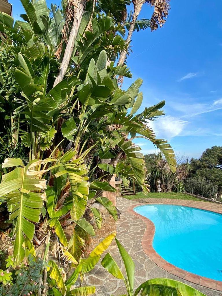 Villa les Alizés Le Le Rayol-Canadel-sur-Mer Extérieur photo