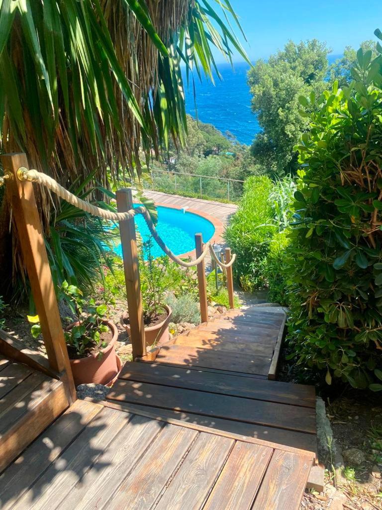 Villa les Alizés Le Le Rayol-Canadel-sur-Mer Extérieur photo