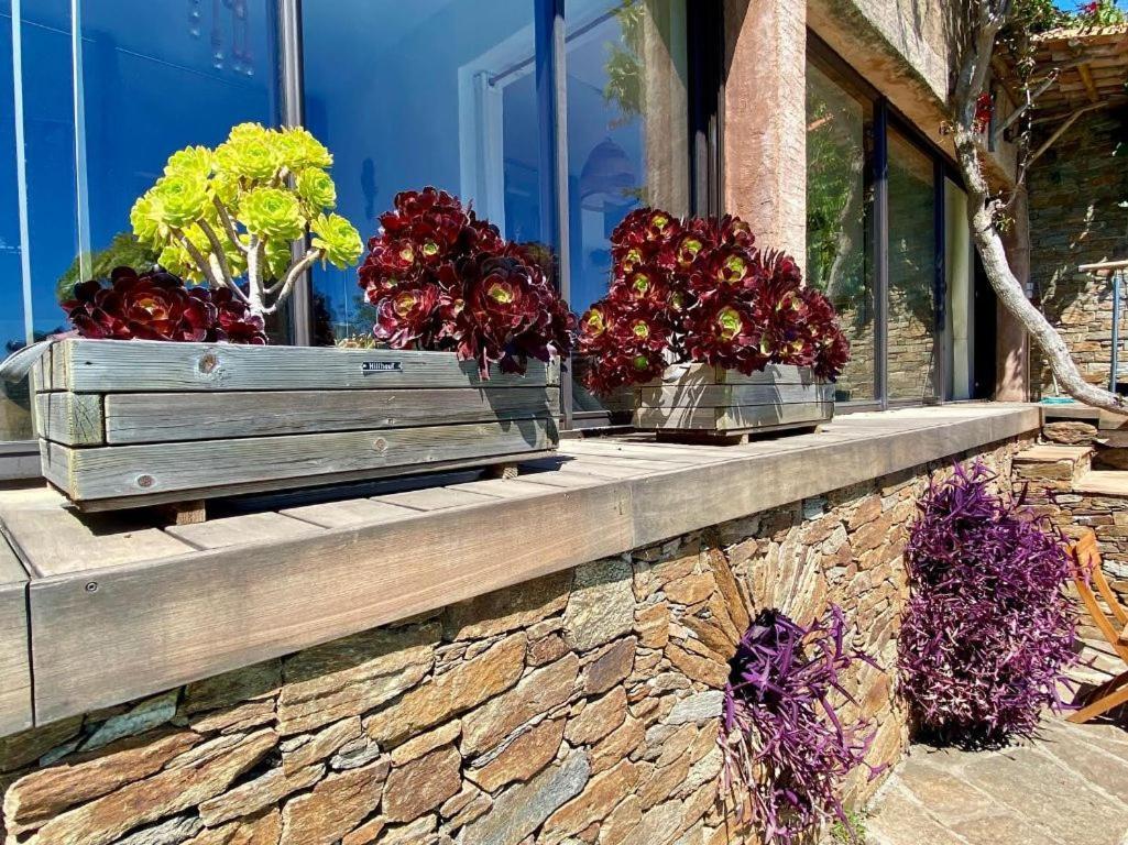 Villa les Alizés Le Le Rayol-Canadel-sur-Mer Extérieur photo