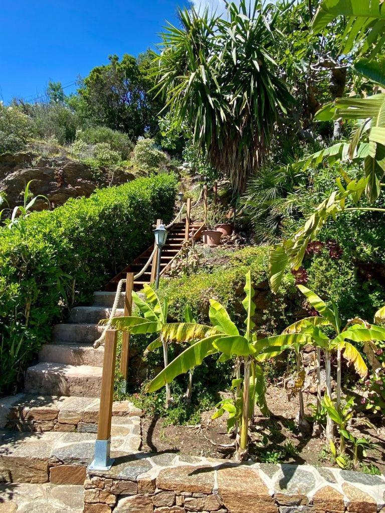 Villa les Alizés Le Le Rayol-Canadel-sur-Mer Extérieur photo