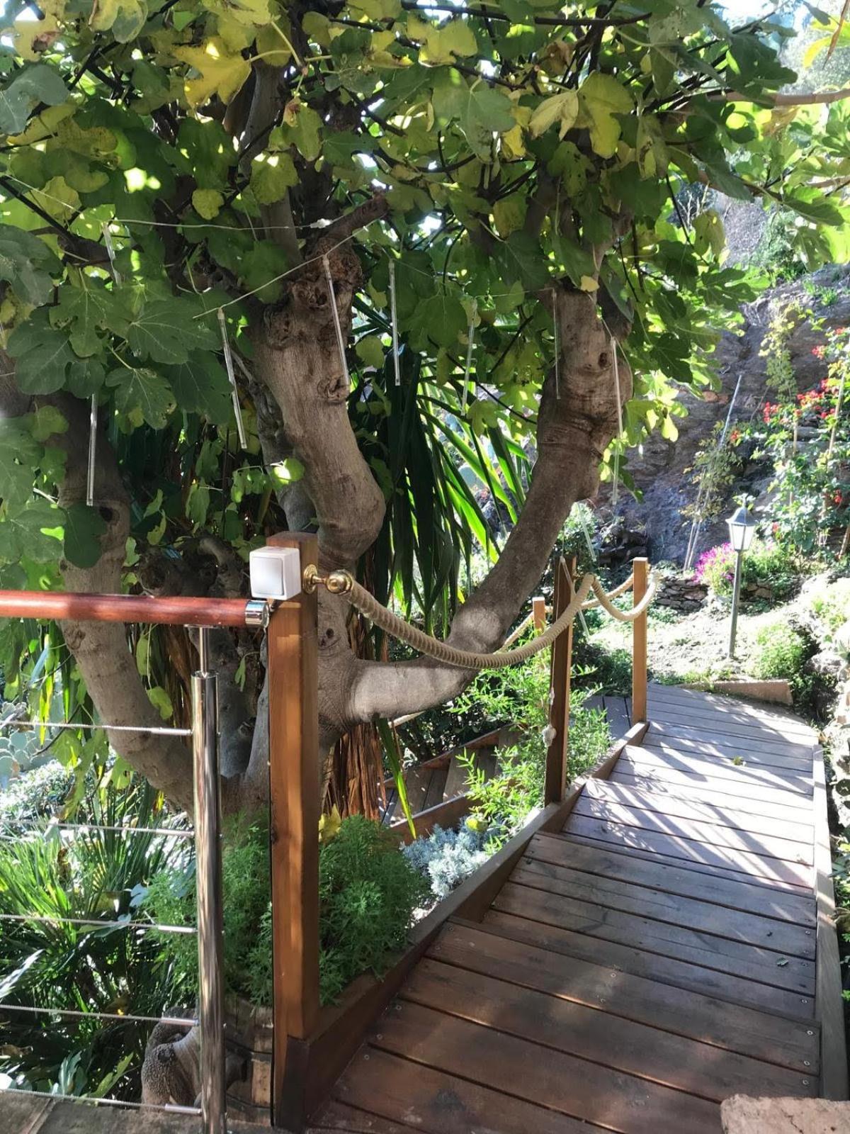 Villa les Alizés Le Le Rayol-Canadel-sur-Mer Extérieur photo